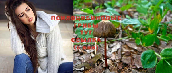 стафф Покачи