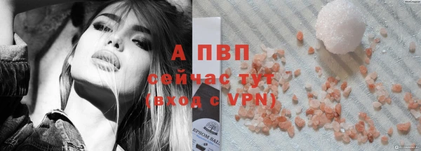 стафф Покачи