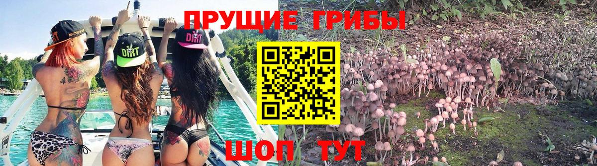 Галлюциногенные грибы мицелий Ахтубинск