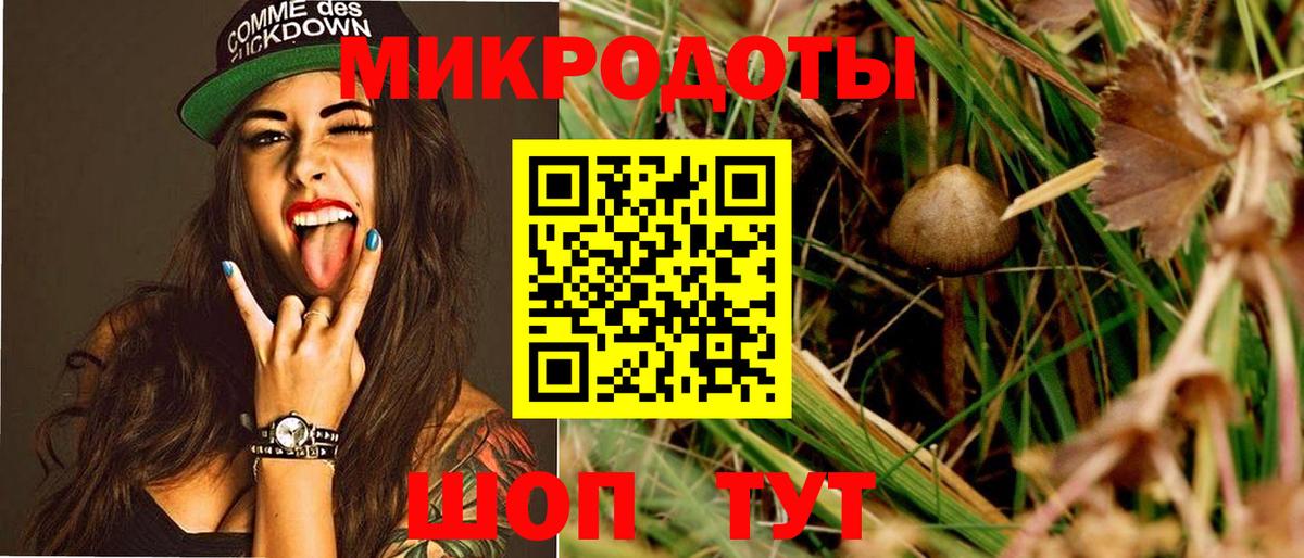 магазин продажи   Псилоцибиновые грибы GOLDEN TEACHER  Ахтубинск  Псилоцибиновые грибы Cubensis 