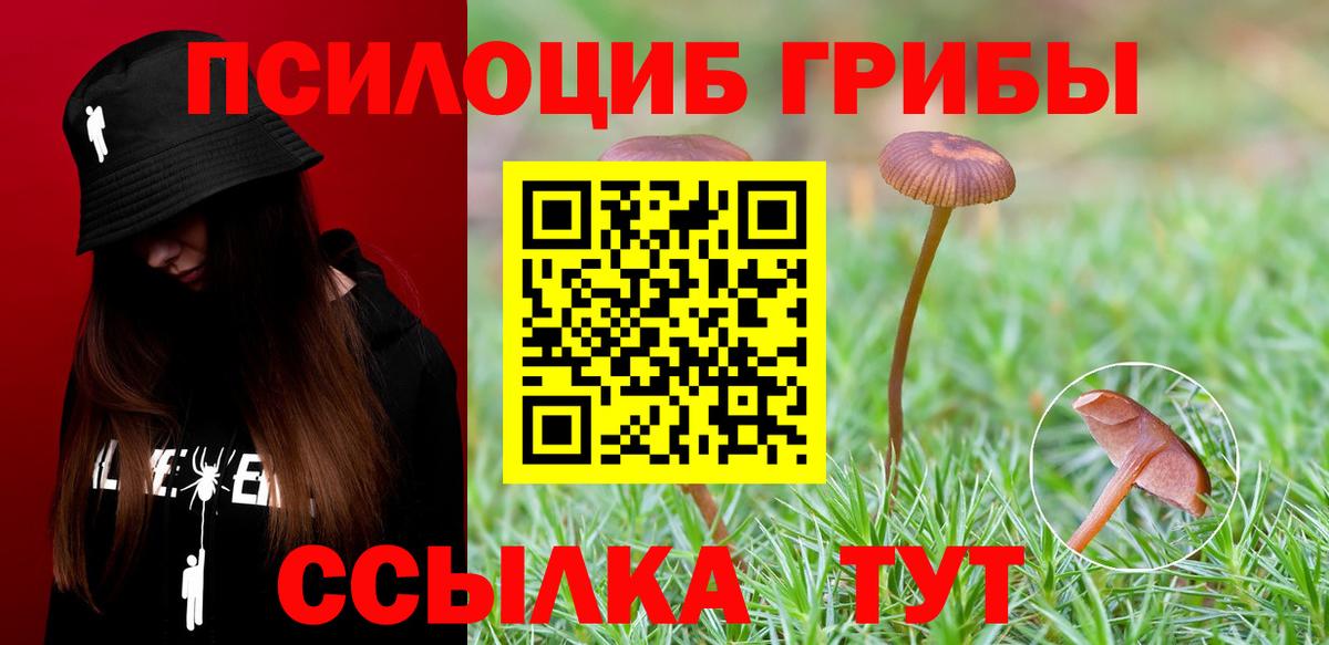 Псилоцибиновые грибы мицелий Ахтубинск