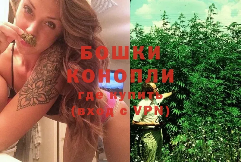 купить наркотики цена Ахтубинск Канабис планчик